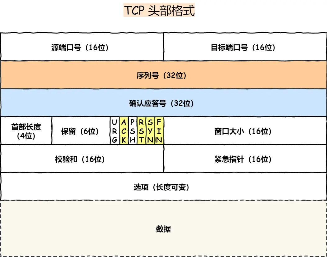 TCP 头